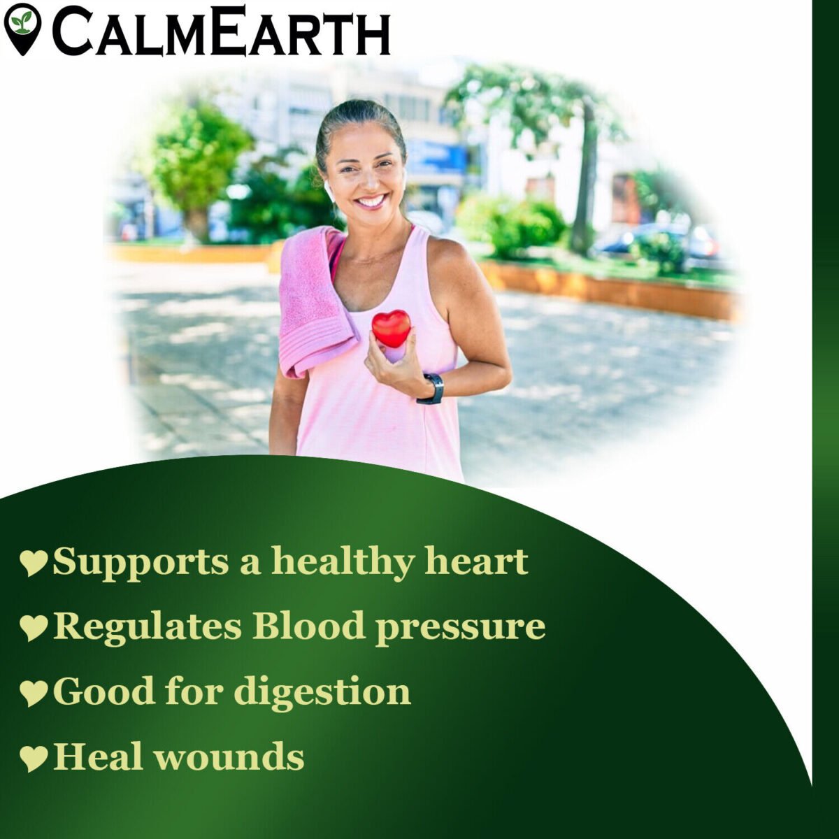 Arjuna Extract Powder powder natural herbal powder by CalmEarth