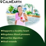 Arjuna Extract Powder powder natural herbal powder by CalmEarth