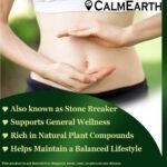 Chanca Piedra benefits — CalmEarth organic herbal supplement