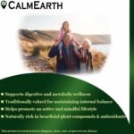 Ginger benefits — CalmEarth organic herbal supplement