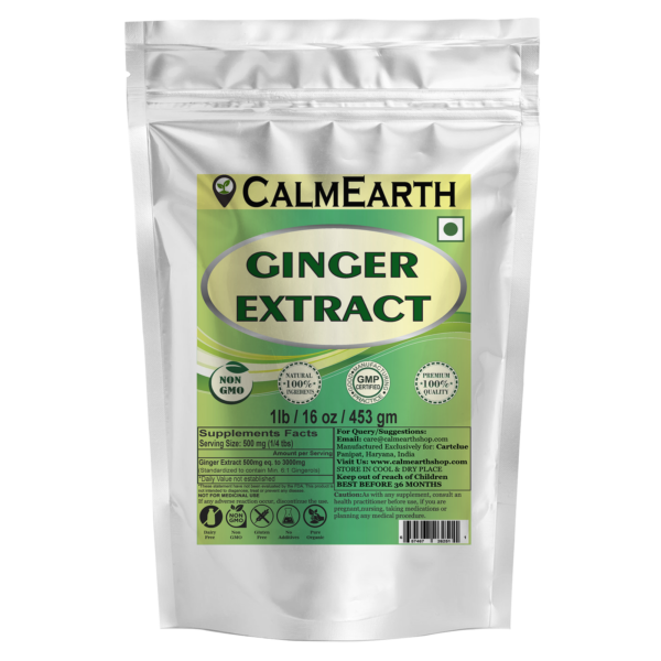 Ginger Extract Powder powder organic herbal supplement by CalmEarth