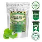 Ginkgo Biloba Leaf Extract Powder powder fine texture close-up by CalmEarth
