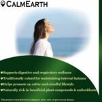 Licorice benefits — CalmEarth organic herbal supplement