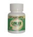 Organic Ginger Capsules capsules close-up view by CalmEarth
