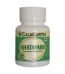 Organic Shatavari Capsules capsules close-up view by CalmEarth