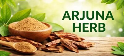 Arjuna Extract Powder benefits — CalmEarth organic herbal supplement