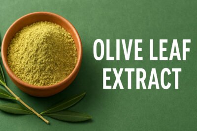 Olive Leaf Extract Powder benefits — CalmEarth organic herbal supplement